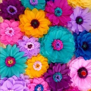 Meet your Posher, Aimee